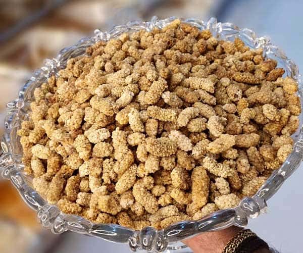 تصویر 2 از خرید و قیمت میوه خشک توت  + فروش عمده